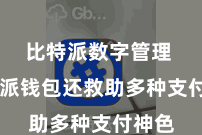 比特派数字管理  比特派钱包还救助多种支付神色