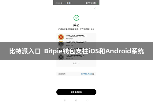 比特派入口  Bitpie钱包支柱iOS和Android系统